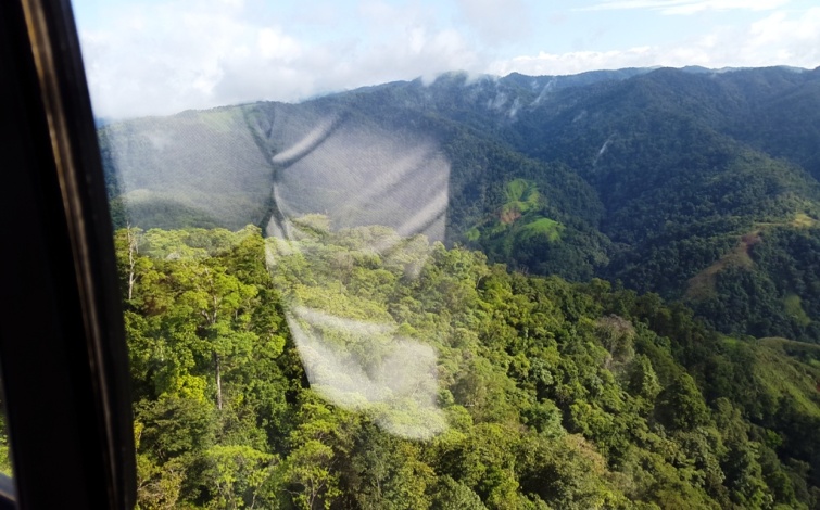 Primary forest mountain reserve Panama Property for sale