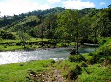 Primary forest mountain reserve Panama Property for sale