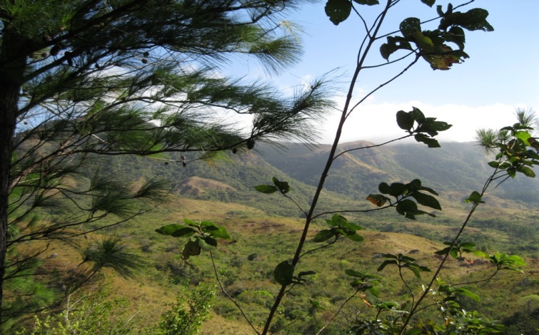 105 Hectares El Escuchadero, Santa Fe, Veraguas Mountain Property for sale