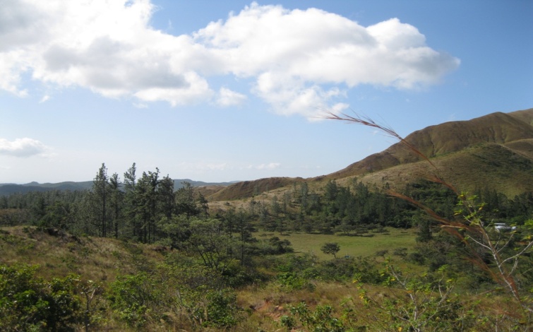 105 Hectares El Escuchadero, Santa Fe, Veraguas Mountain Property for sale