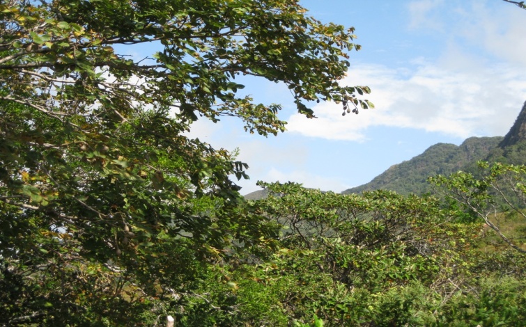 105 Hectares El Escuchadero, Santa Fe, Veraguas Mountain Property for sale