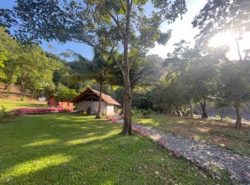 Titled Private Pacific Ocean Cove Cerro Hoya Park Panama