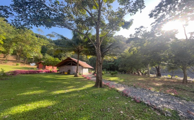 Titled Private Pacific Ocean Cove Cerro Hoya Park Panama