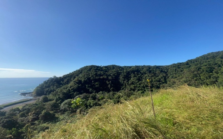 Titled Private Pacific Ocean Cove Cerro Hoya Park Panama