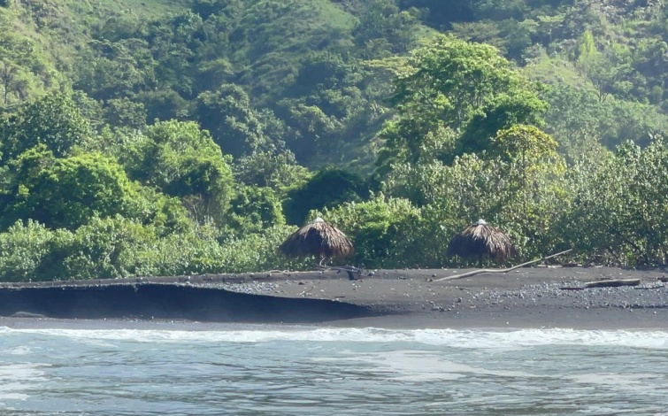 Titled Private Pacific Ocean Cove Cerro Hoya Park Panama