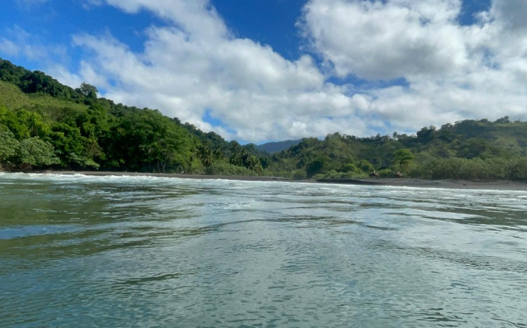 Titled Private Pacific Ocean Cove Cerro Hoya Park Panama