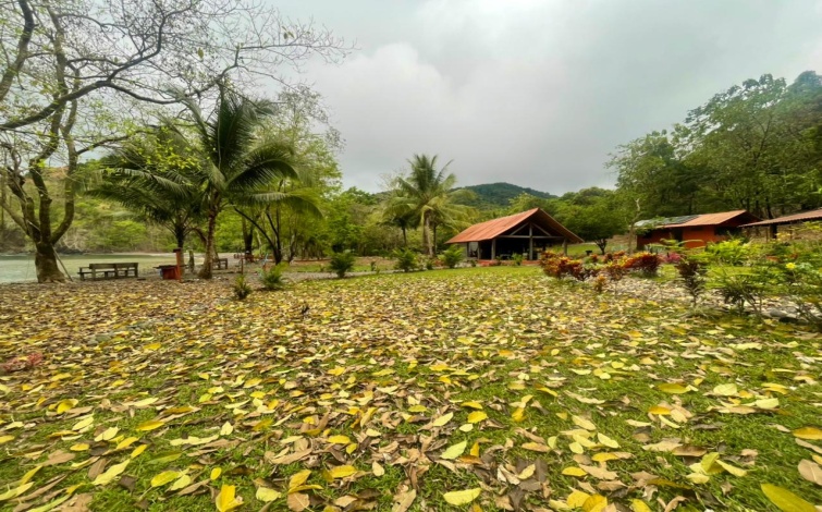 Titled Private Pacific Ocean Cove Cerro Hoya Park Panama