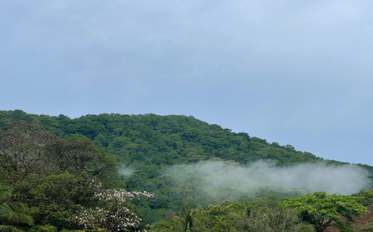 Titled Private Pacific Ocean Cove Cerro Hoya Park Panama