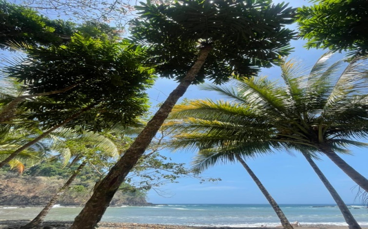 Titled Private Pacific Ocean Cove Cerro Hoya Park Panama