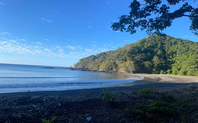 Titled Private Pacific Ocean Cove Cerro Hoya Park Panama