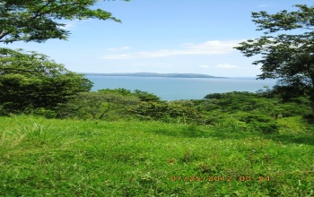 Malena, Mariato, ,Land,For Sale,Malena