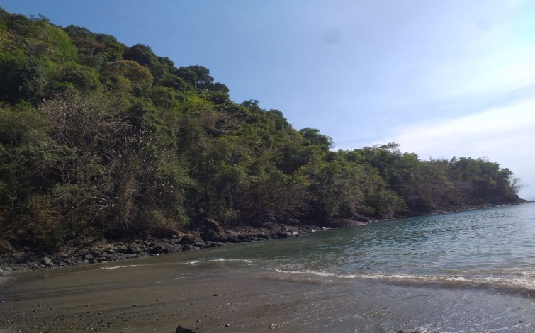 Oceanfront property for sale in Panama