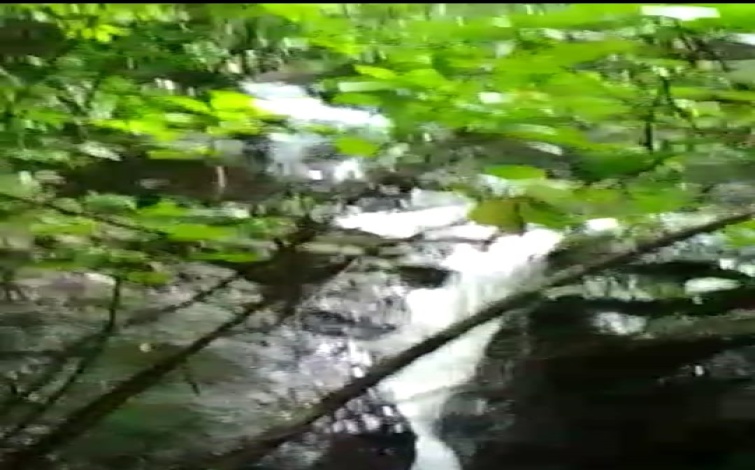 Arenas, Veraguas, ,Land,For Sale,1064