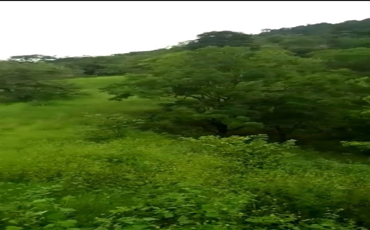 Arenas, Veraguas, ,Land,For Sale,1064