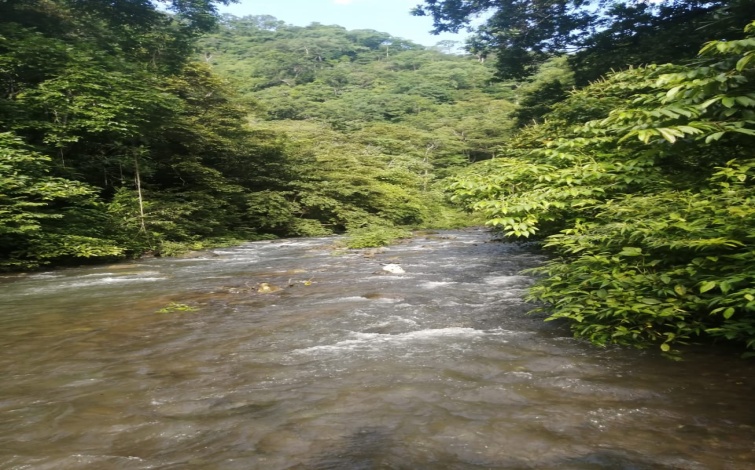 El Cacao, Veraguas, ,Land,For Sale,1065