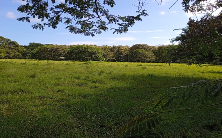 Quebro, Veraguas, ,Land,For Sale,1066
