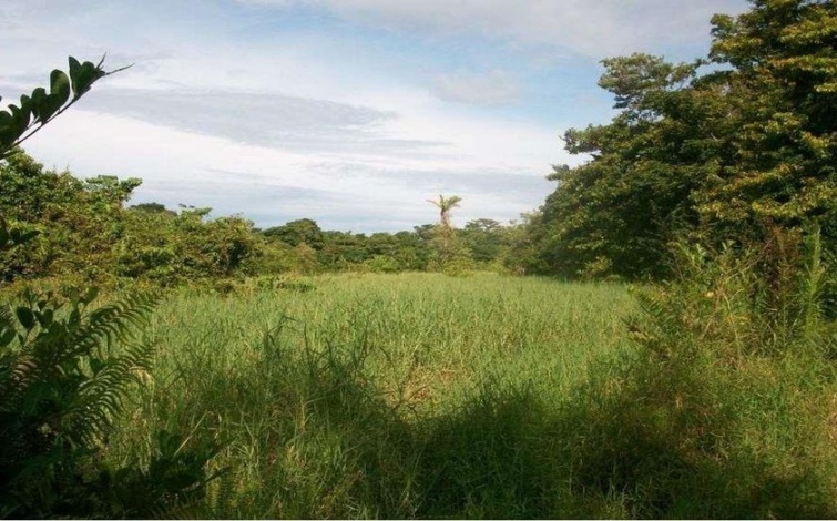 Quebro, Veraguas, ,Land,For Sale,1066